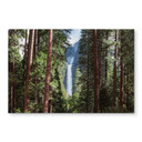 Glasschilderij Colombo - Waterfall Forest