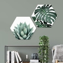 Hexagon Dibond Sisi & Seb - Monstera