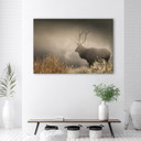 Canvasbillede, Hjort i tågen natur