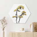 Hexagon Dibond Amini - Bonsai