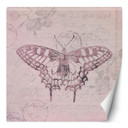 Fototapete, Shabby Chic Stil Schmetterling auf rosa Hintergrund - Andrea Haase