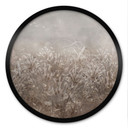 Poster Pampas Gras en Grassen in Beige - Ms Tiff - Rond