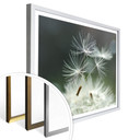 Plakat Delgado - odmiana Dandelion