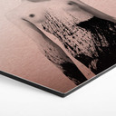 Hexagon Alu-Dibond Kopereffect Ireland - The Sweetest Kill