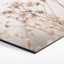 Hexagon Dibond Alu-Dibond - Lovely Pastels