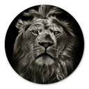 Tableau en Alu-Dibond Lion - Rond