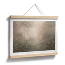 Poster Mystiek regenwoud in de mist - Ms Tiff