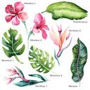 Kvilis Wallsticker - Tropiske planter