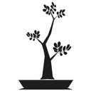 Sticker mural - Bonsai