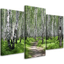 3 stykke lærredstryk, Birch Forest Nature