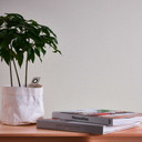 Vliestapete überstreichbar Weiß - Einfarbige Strukturtapete - Unitapete Wohnzimmer Büro