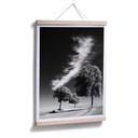 Plakat Silver Linings