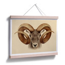 Plakat brązowy - Urial