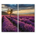 Dækplade til komfur Lavendelblomst i Provence