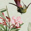 Papier peint photo Toucan dans une jungle paradisiaque - UN Designs