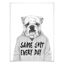 Plakat Solti - zirytowany buldog