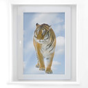 Fototapeta na okno Real Tiger