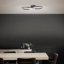 Deckenleuchte Chloe, schwarz, 52 x 30 cm, Metall LED-Deckenleuchte, dimmbar
