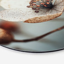 Billede Boho tørret blomst makro - Treechild - rund – print på aluminium (Alu-Dibond)