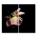 Roses Sadness dækplade til kogeplader