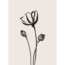 Fototapeta w kwiaty Line Art Poppy - Cats & Dotz