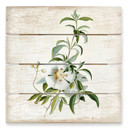 Obraz drewniany Ehret - Cistus rose - 40x41,5 cm