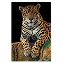 Canvasbillede, Leoparddyr