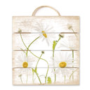 Obraz drewniany Disher - Ox eye Daisies - 40x41,5 cm