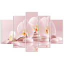5 stykke lærredsprint Pink Flower Orchid