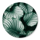 Tableau sur verre rond Urban Jungle - Calathea Orbifolia