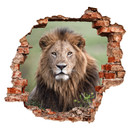 3D Wallsticker van Duijn - I løvens øjne