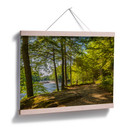 Plakat leśna ścieżka nad rzeką