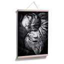 Poster - Jancova - Sweet Kitten