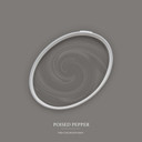Pintura interior gris mate I Poised Pepper | crear un ambiente elegante y moderno | THE COLOR KITCHE