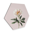 Hexagon Dibond Sisi & Seb - Delicate Flower