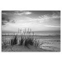 Canvasbillede, Græs på strand - sort og hvid