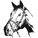 Wallsticker Hestehoved 2