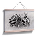 Poster - Trubitsyn - Zèbres dans la savane