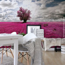 Fototapet The Lonely Tree - 336x260 cm