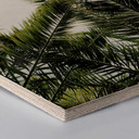 Hexagon hout - Palmen