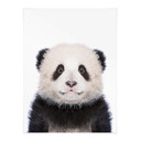 Plakat Sisi & Seb - Baby Panda