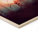 Plakat drewniany Trawy w świetle świecącego słońca - Treechild