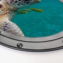Alu-Dibond 3D Optik - Unterwasserfreunde - Rund