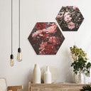 Hexagone - Alu-Dibond Annie - Fleurs d'été