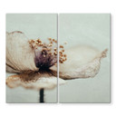Dækplade til komfur Delikate tørrede blomster i beige - Treechild