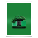 Plakat Loose - Chamelephone