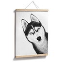 Plakat Siberian husky - portret psa - Korenkova