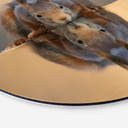 Billede Egern ved vandet - van Duijn - Aluminium dibond - Rund – print på aluminium (Alu-Dibond)