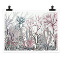 Plakat Sir Edward - Cuda morza