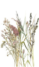 Fototapet blomster, blade blomster natur mat i hvid, rød 2,70 x 1,59m